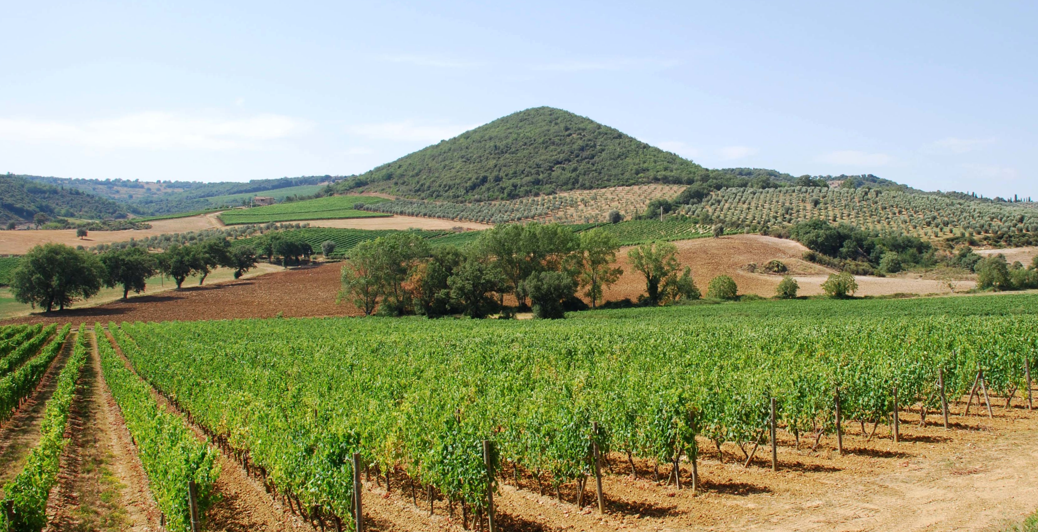 Montalcino e San Giovanni d’Asso: sì al Progetto integrato di distre...